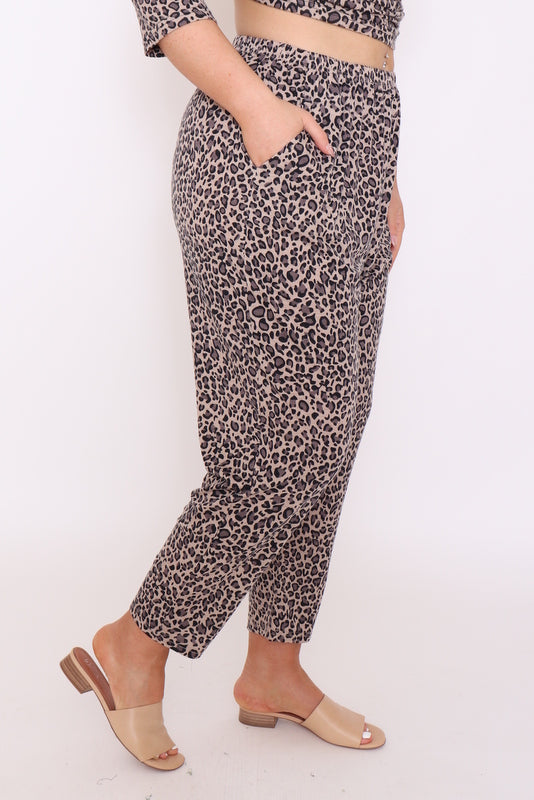 7853 Brown leopard prints pants